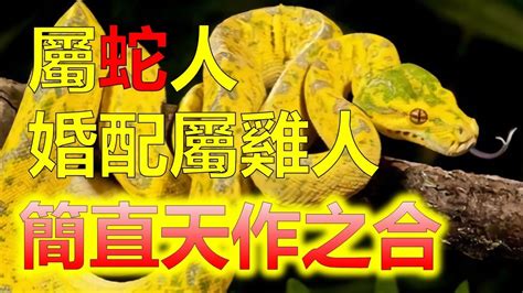 龍蛇合不合|【龍蛇合不合】龍蛇相配，福運亨通！揭秘屬龍和屬蛇的驚人緣分。